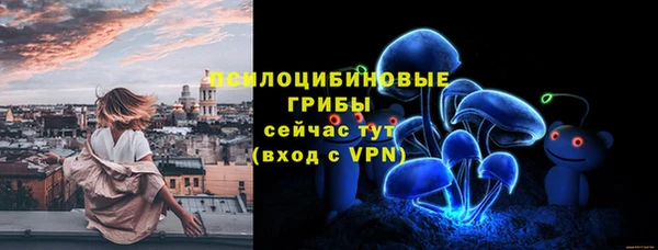 2c-b Алзамай