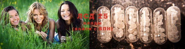 2c-b Алзамай